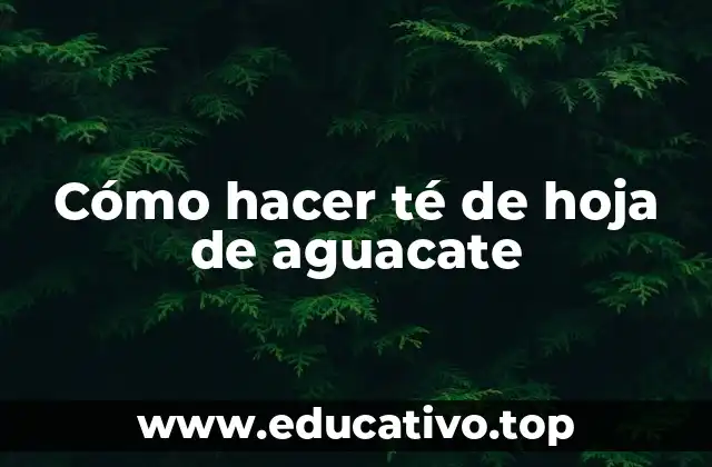 Cómo hacer té de hoja de aguacate