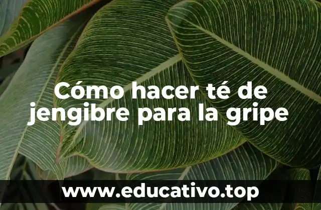 Cómo hacer té de jengibre para la gripe