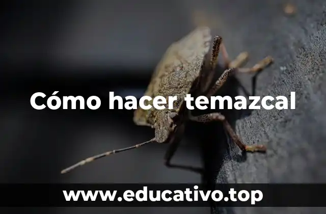 Cómo hacer temazcal