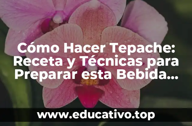 Cómo Hacer Tepache: Receta y Técnicas para Preparar esta Bebida Tradicional Mexicana
