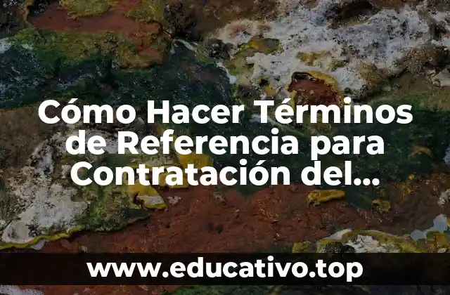 Cómo Hacer Términos de Referencia para Contratación del Personal