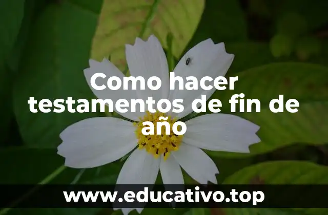 Como hacer testamentos de fin de año