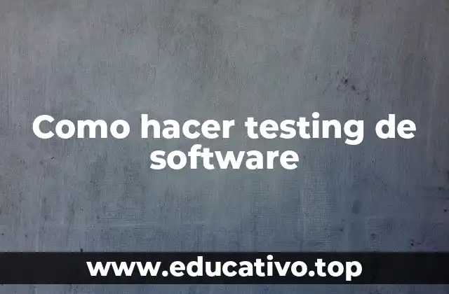 Como hacer testing de software