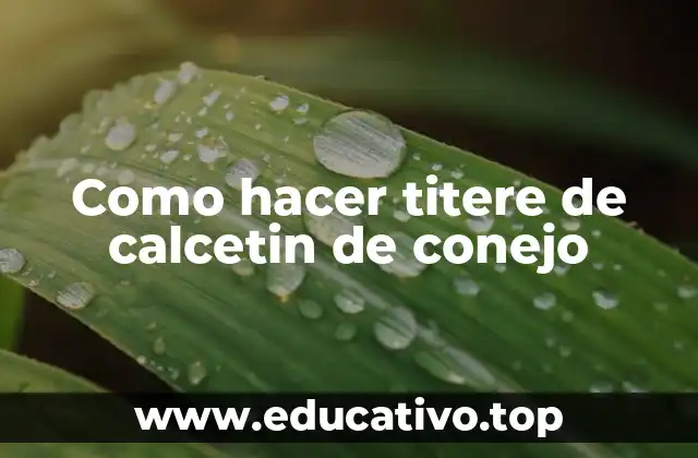 Como hacer titere de calcetin de conejo