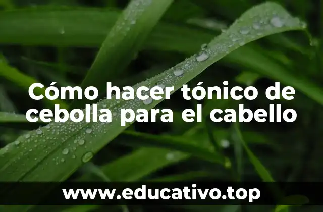 Cómo hacer tónico de cebolla para el cabello