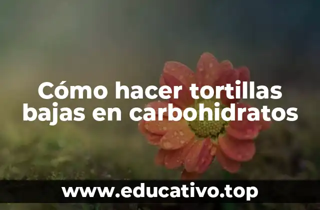 Cómo hacer tortillas bajas en carbohidratos