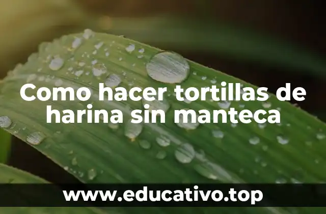 Como hacer tortillas de harina sin manteca