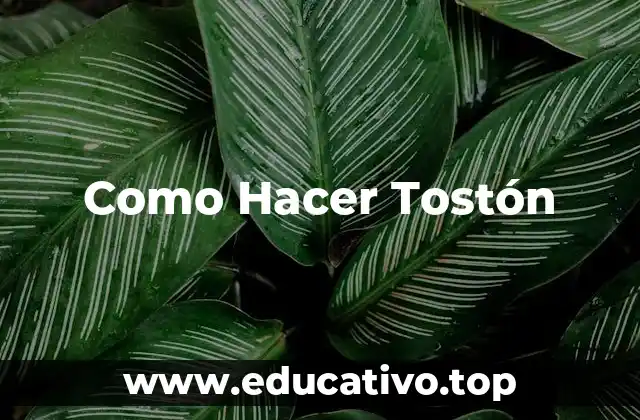 Como Hacer Tostón