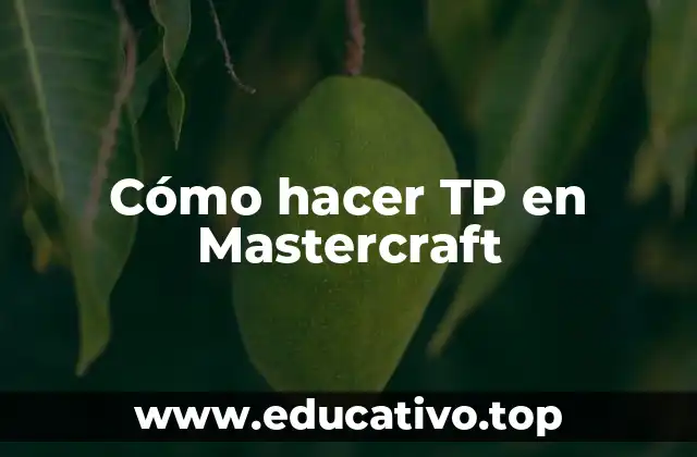 Cómo hacer TP en Mastercraft