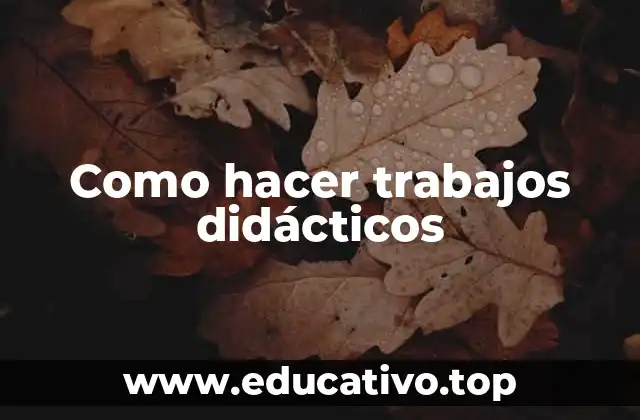 Como hacer trabajos didácticos