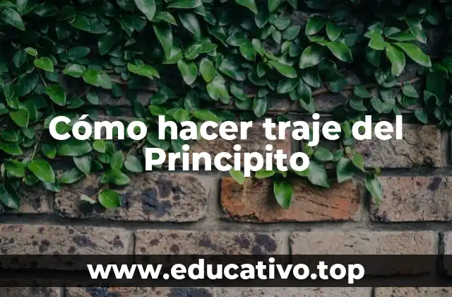 Cómo hacer traje del Principito