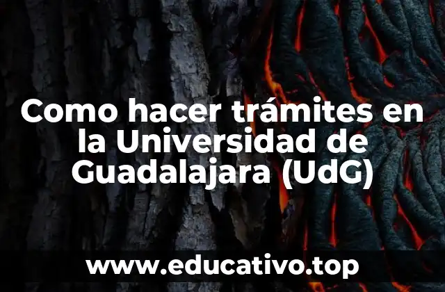 Como hacer trámites en la Universidad de Guadalajara (UdG)