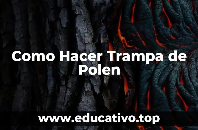 Como Hacer Trampa de Polen