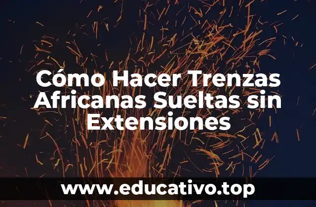 Cómo Hacer Trenzas Africanas Sueltas sin Extensiones