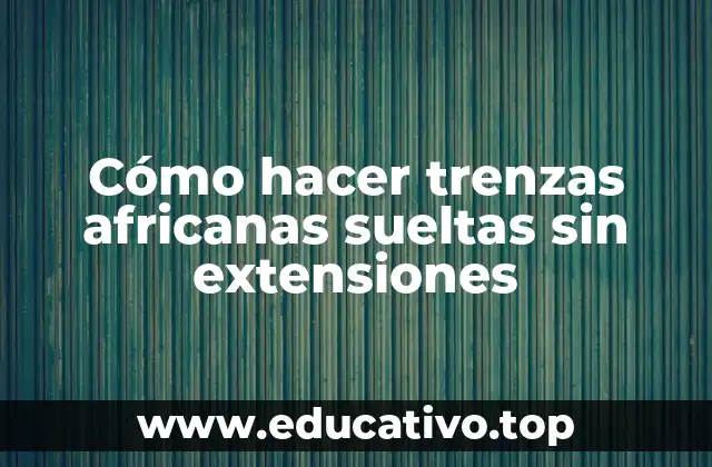 Cómo hacer trenzas africanas sueltas sin extensiones
