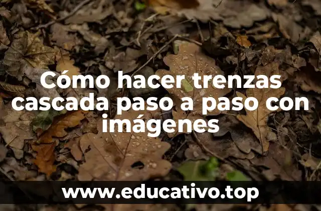 Cómo hacer trenzas cascada paso a paso con imágenes