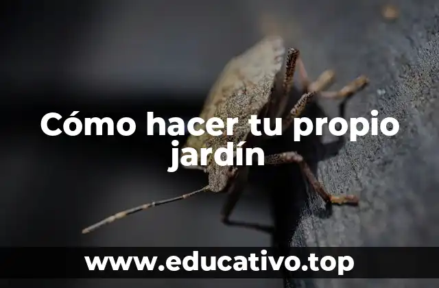 Cómo hacer tu propio jardín