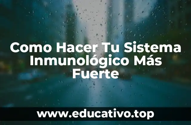 Como Hacer Tu Sistema Inmunológico Más Fuerte