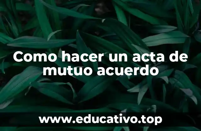 Como hacer un acta de mutuo acuerdo