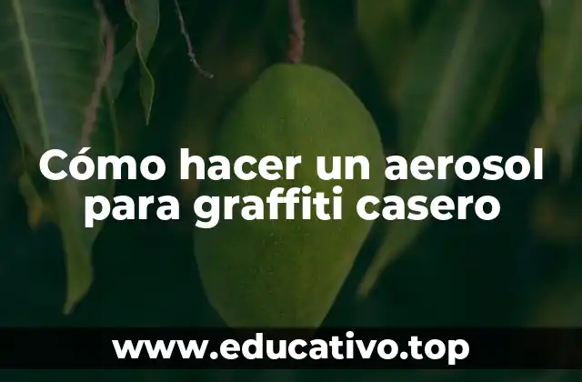 Cómo hacer un aerosol para graffiti casero