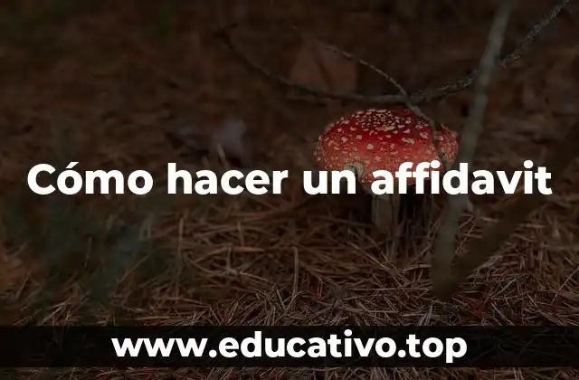 Cómo hacer un affidavit