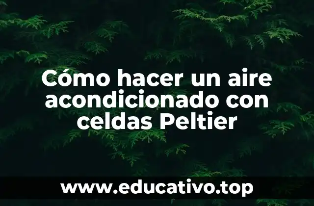 Cómo hacer un aire acondicionado con celdas Peltier