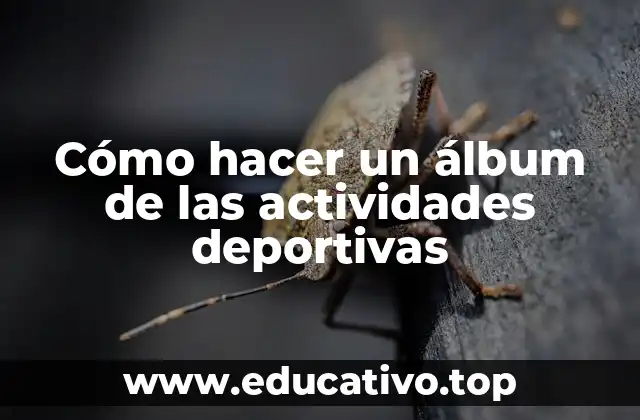 Cómo hacer un álbum de las actividades deportivas