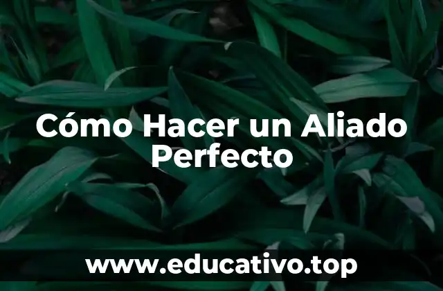 Cómo Hacer un Aliado Perfecto