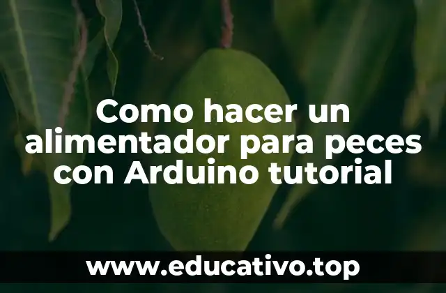 Como hacer un alimentador para peces con Arduino tutorial