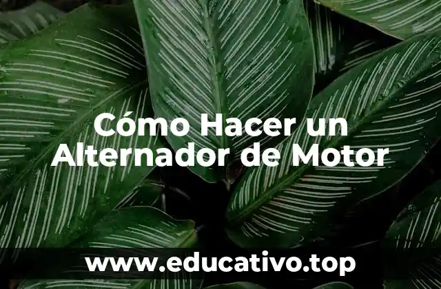 Cómo Hacer un Alternador de Motor