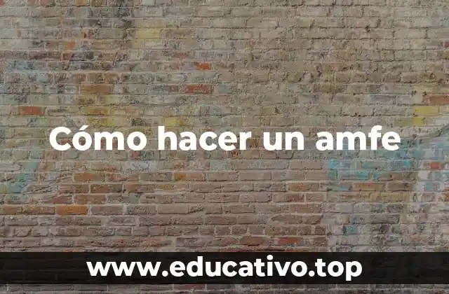 Cómo hacer un amfe