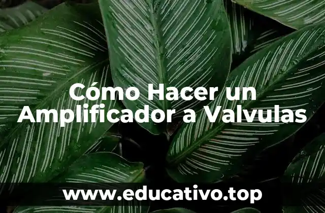 Cómo Hacer un Amplificador a Valvulas