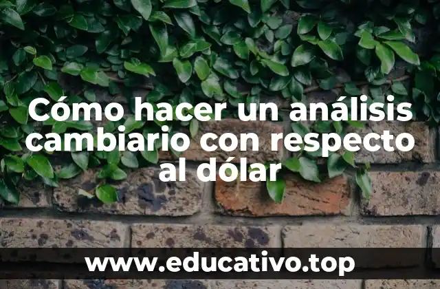 Cómo hacer un análisis cambiario con respecto al dólar