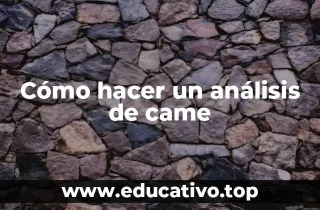 Cómo hacer un análisis de came