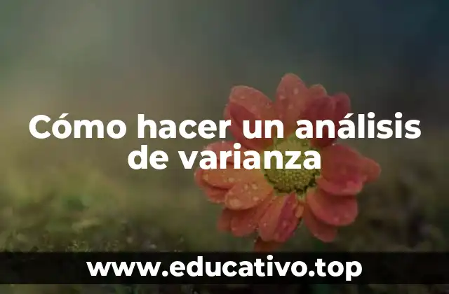 Cómo hacer un análisis de varianza