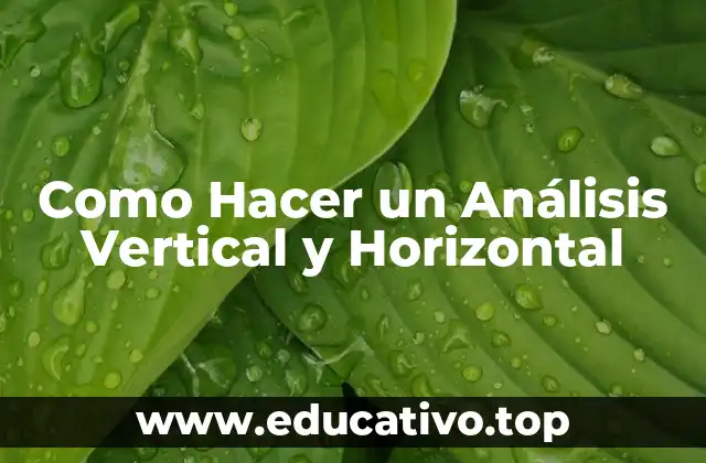 Como Hacer un Análisis Vertical y Horizontal