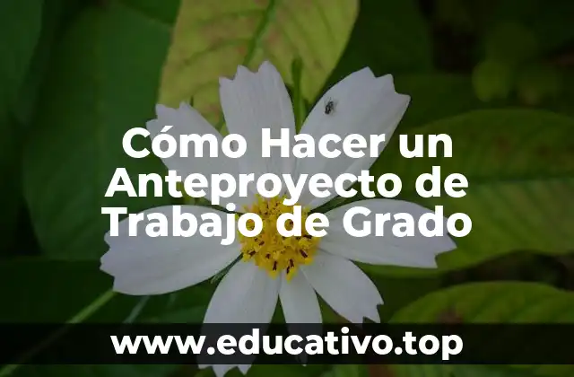 Cómo Hacer un Anteproyecto de Trabajo de Grado