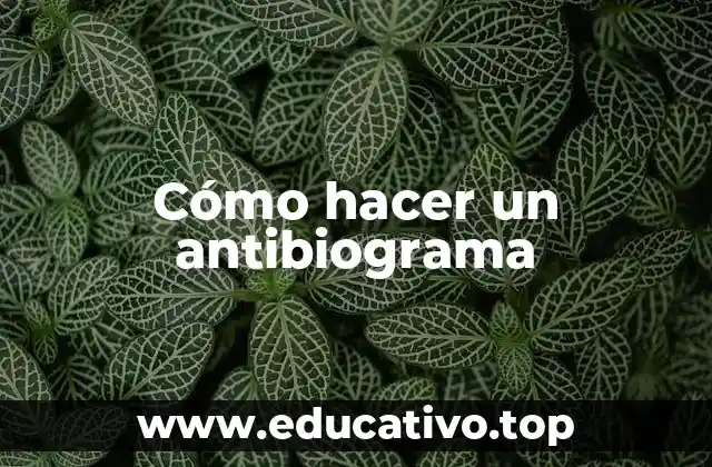 Cómo hacer un antibiograma