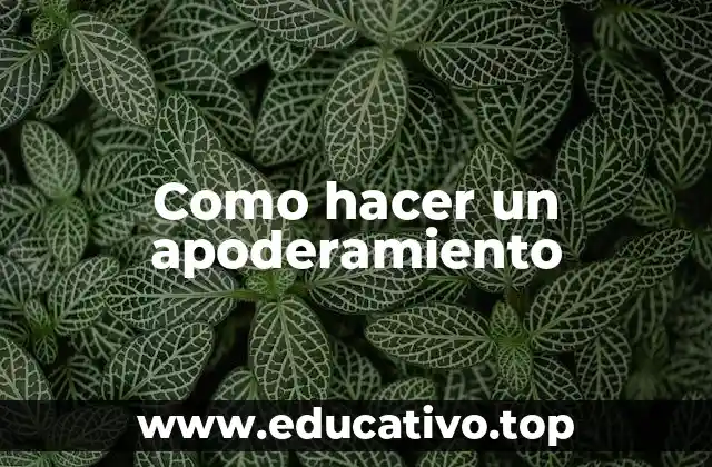 Como hacer un apoderamiento