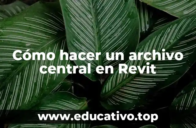 Cómo hacer un archivo central en Revit