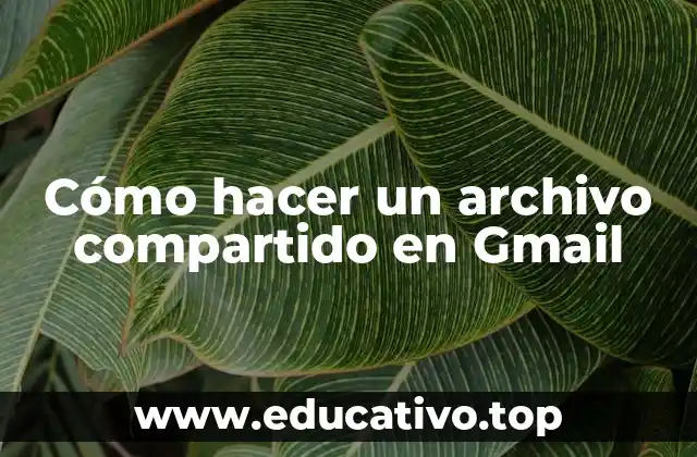 Cómo hacer un archivo compartido en Gmail