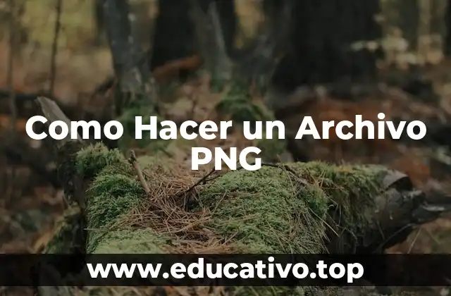 Como Hacer un Archivo PNG