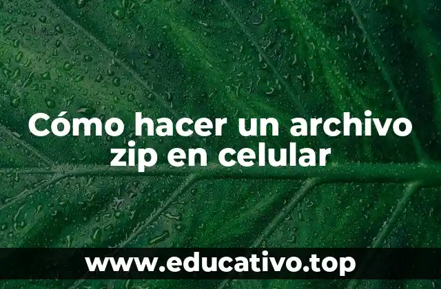 Cómo hacer un archivo zip en celular