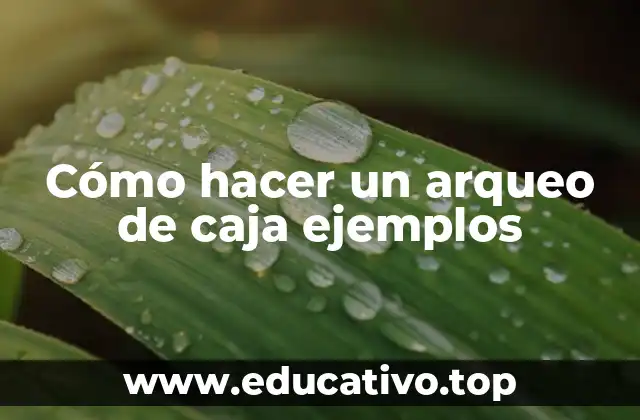 Cómo hacer un arqueo de caja ejemplos