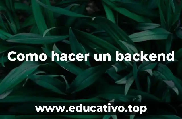 Como hacer un backend