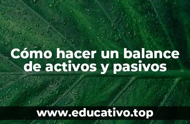 Cómo hacer un balance de activos y pasivos