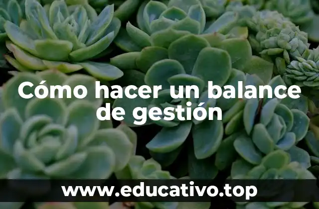 Cómo hacer un balance de gestión