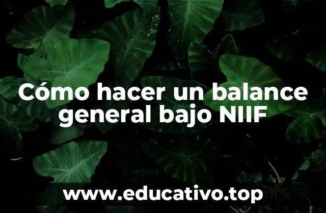 Cómo hacer un balance general bajo NIIF