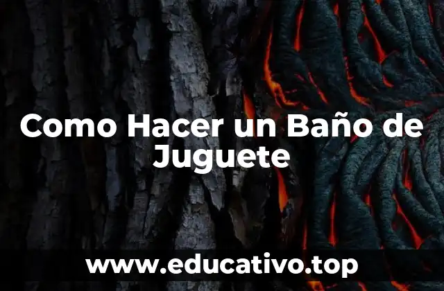 Como Hacer un Baño de Juguete