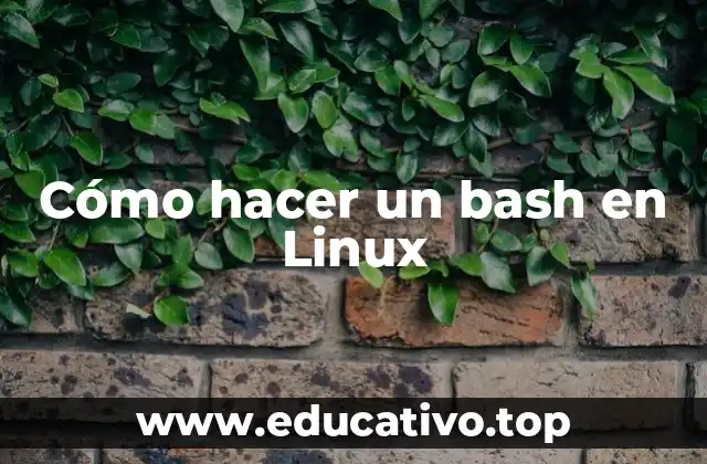 Cómo hacer un bash en Linux